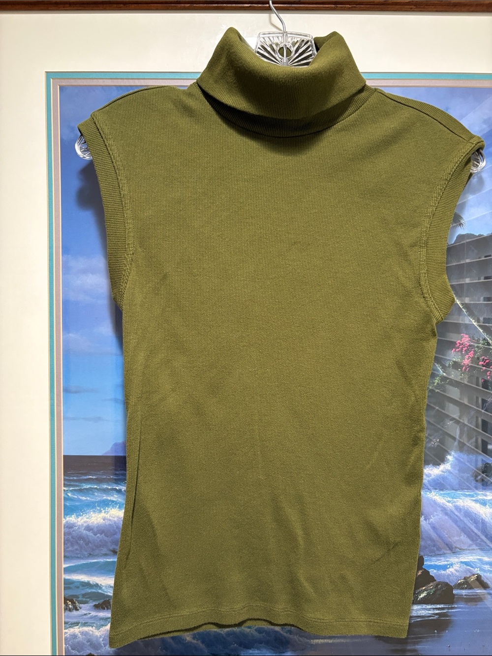 Banana Republic Olive Green Sleeveless Turtleneck Top